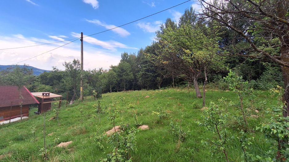 Bran-Predelut doua parcele de 2000+3000mp pret 25 euro/mp - Poză 7