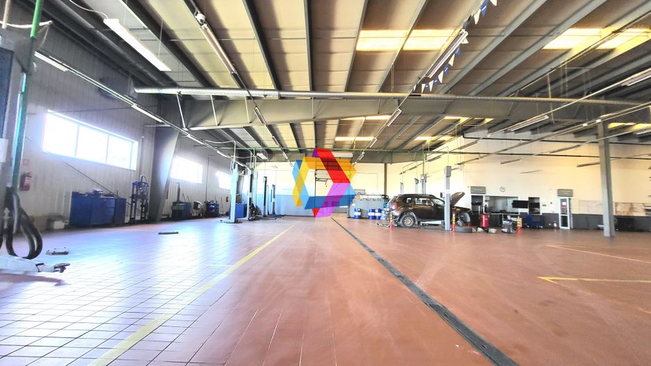 Showroom cu hală de depozitare - 6230 mp #Plus-imo.ro - Poză 7