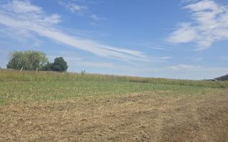 Teren construibil 500 mp, Platou Beldiman, Rediu - Poză 5