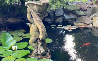 Vila in Braytim cu piscina - Poză 2