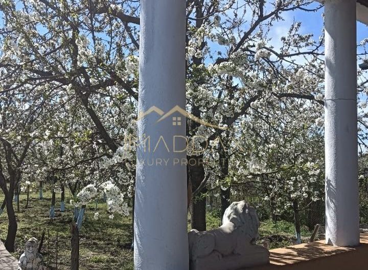 Vila 9 camere***gradina cu pomi fructiferi//1085 mp teren***Dragomiresti-Deal - Poză 1