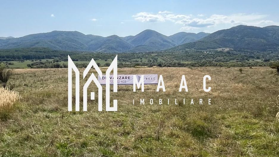 Teren extravilan | 7.800 mp | Saliste - Poză 5