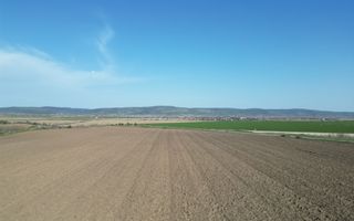 Teren de vânzare, Com. Nicolae Bălcescu, Jud. Bacău - Poză 4