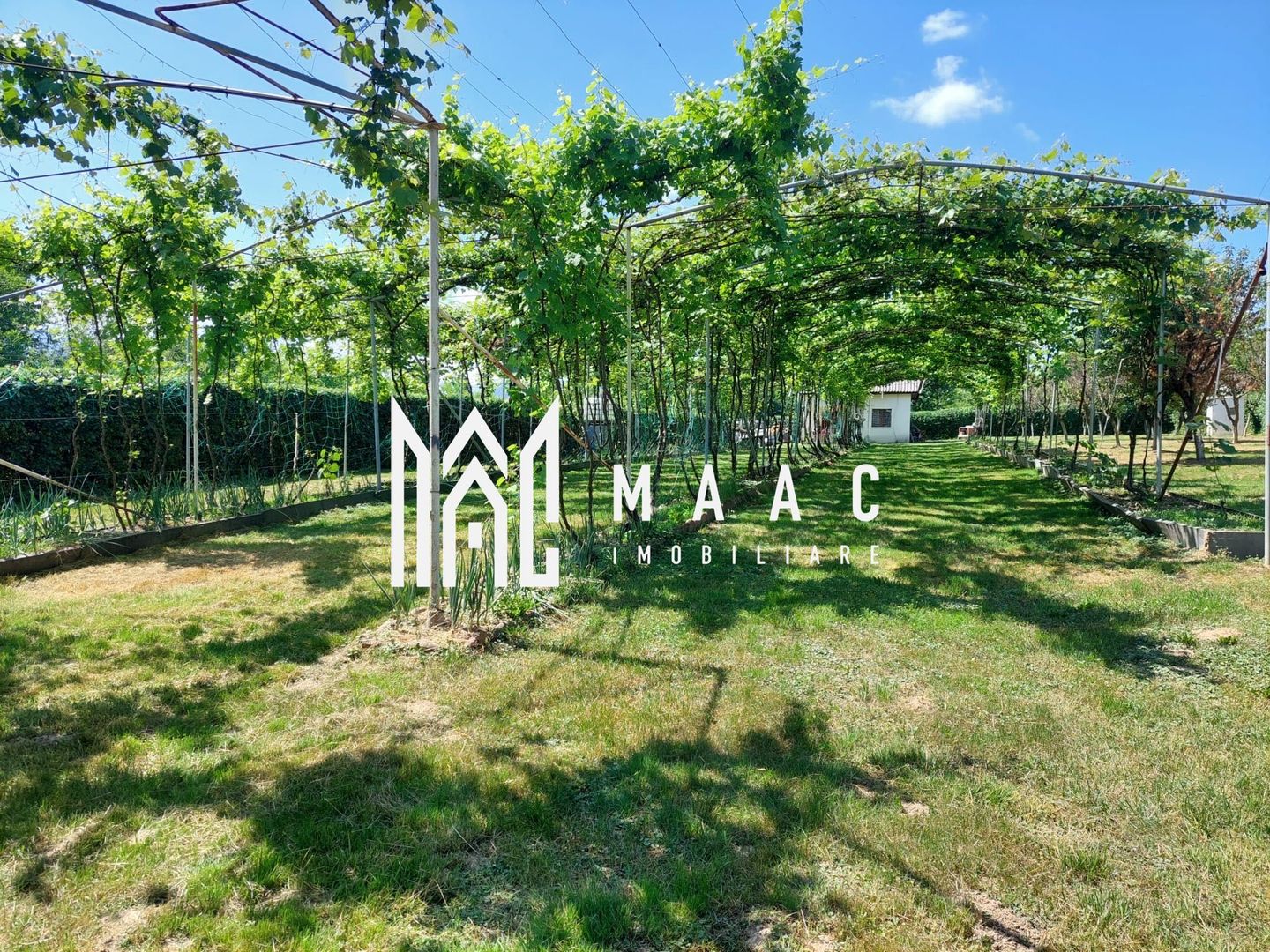 Teren | Intravilan 2.166 Mp | Construcție existenta |  Pădurea Dumbrava - Poză 3