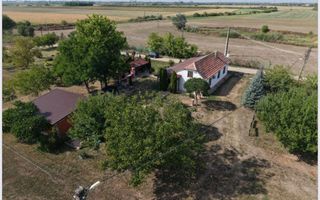 Spatiu multifunctional Salonta - Poză 3