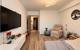 Apartament 1 camera | str. Victoriei (Casa Crișan) | Pet friendly | loc de parcare - Poză 2