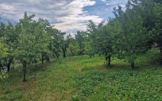 Teren intravilan 1400mp-Albota! - Poză 2