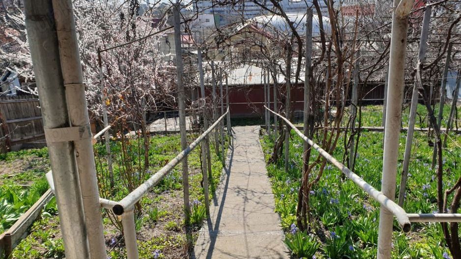 Vand casa bătrânesca - Poză 4