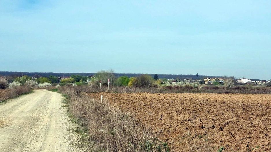 „Corbeanca – aer curat, potențial mare, preț competitiv. 4 loturi - Poză 2
