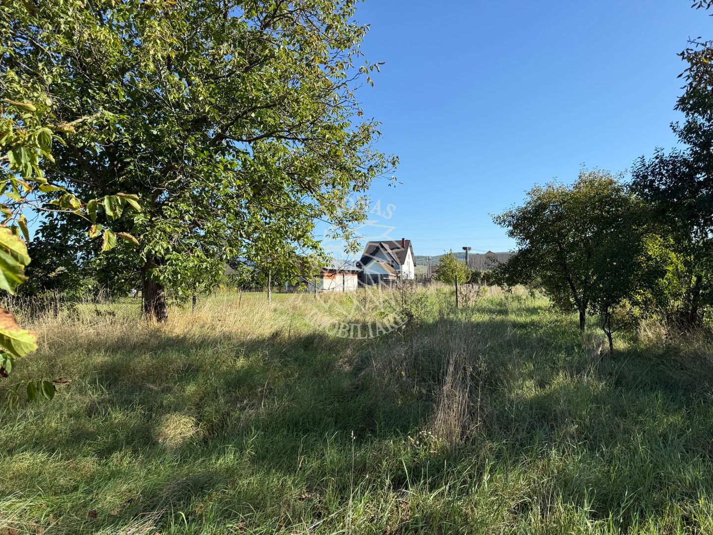 Teren intravilan 965 mp-imprejmuit-ideal casa-Livezile - Poză 6