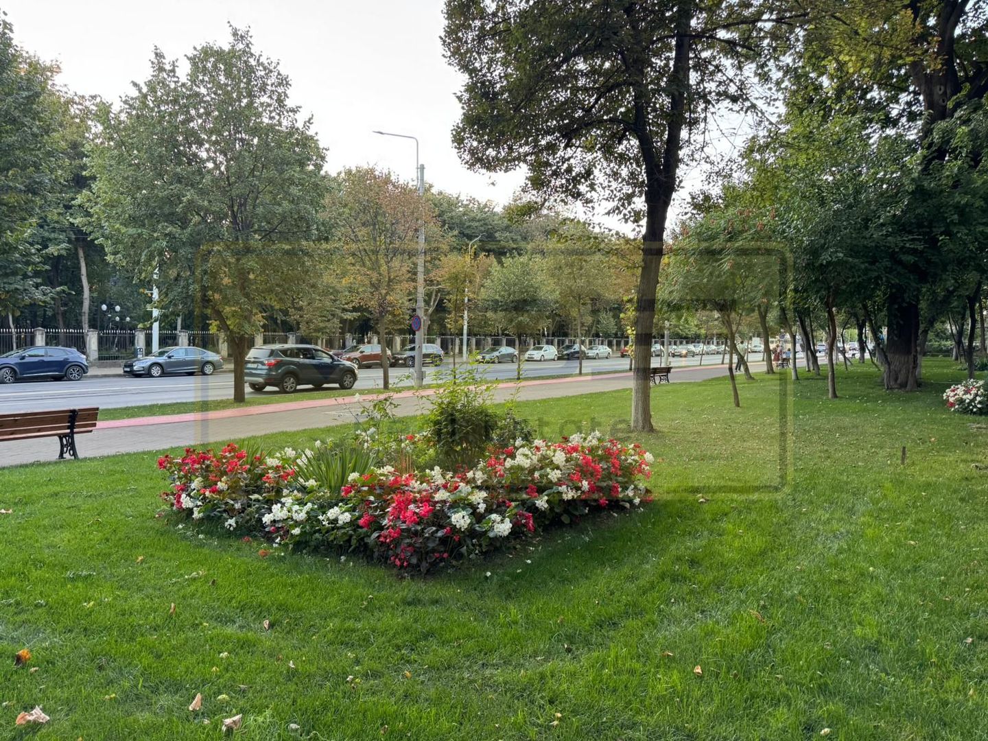 Apartament 2 camere decomandat Copou Gaudeamus - Poză 15