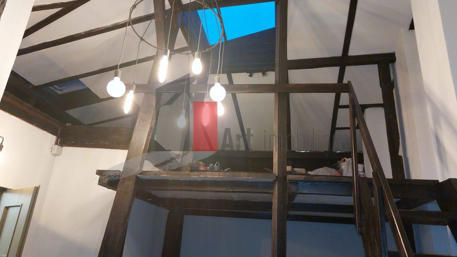 Apartamentul "DISINJATUR" , et. 1/1 in vila stil neoromanesc - Poză 28