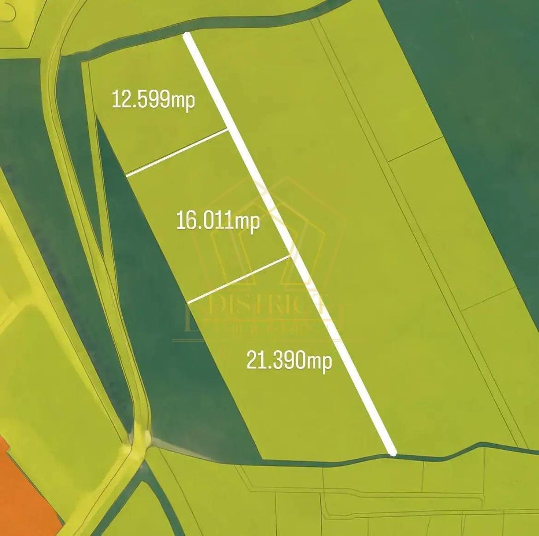Teren intravilan 50.000mp | Sacalaz | - Poză 1