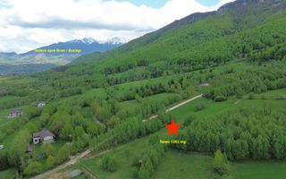 Teren intravilan 5.261 mp Tohănița | Deschidere 49 m | Utilități, lângă pădure - Poză 5