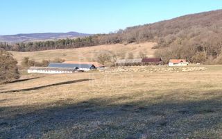 Ferma complet echipata de vanzare – zona Agnita, judetul Sibiu - Poză 2