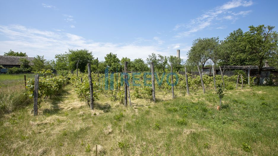 Casă de vânzare în Buhuși, jud. Bacău - Poză 35