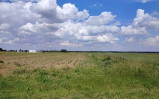 Teren intravilan Ciocanesti Cretu - 9282 mp divizat in 15 loturi - Poză 1