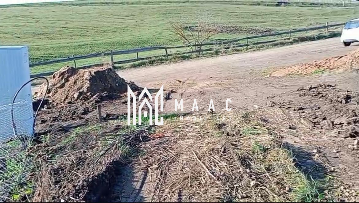 Teren 350 mp I Sura Mare I Autorizatie Casa Parter I Utilități - Poză 1