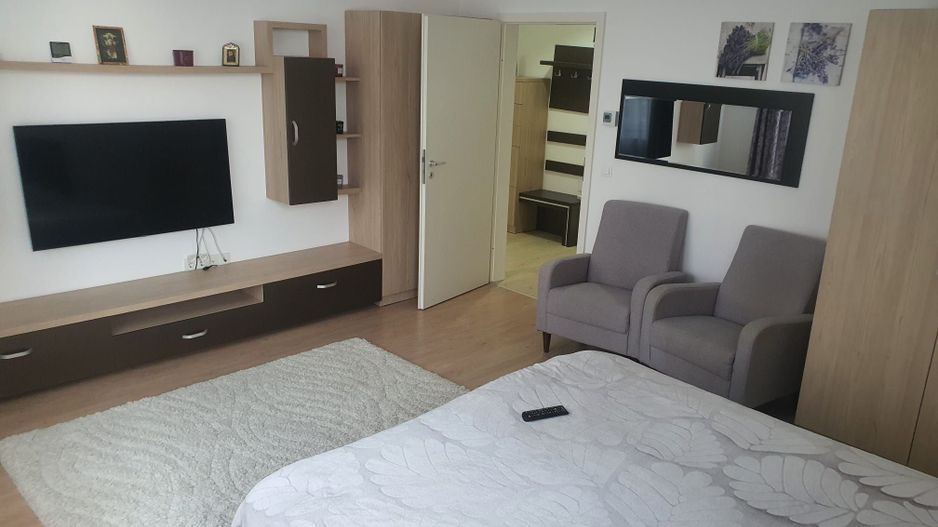 Apartament o cameră cu bucătărie separată - Doamna Stanca - Poză 4