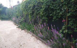 CASA INDIVIDUALA - SOSEAUA OLTENITEI - 1500 MP TEREN - Poză 7