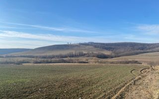Teren extravilan de vanzare 3.900mp | Mierlau | Bihor - Poză 1