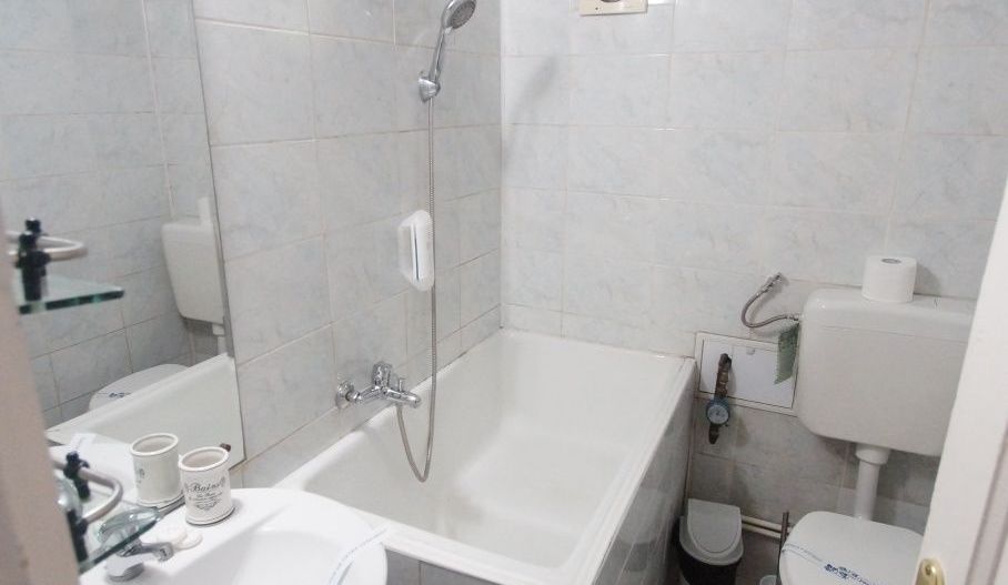 Apartament 3 camere I Bvd Regina Elisabeta I Cișmigiu - Poză 6