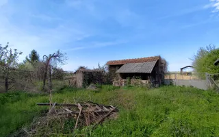 Casa la tara, gaz, acces auto, teren 4122 mp – Petid, Bihor – VANZARE - Poză 14