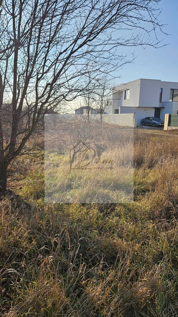 Teren Campul Pipera 425 mp plus 68 mp cota drum pentru constructie - Poză 3