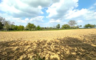 Teren Intravilan de Vânzare, Cetariu, 5450mp - Poză 4