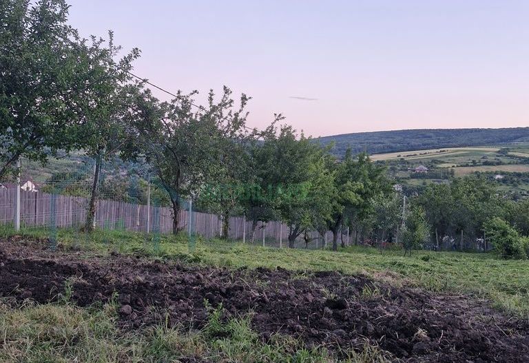 Teren intravilan de vanzare, Chicerea, 740 mp, strada Canarului, Tomesti - Poză 10