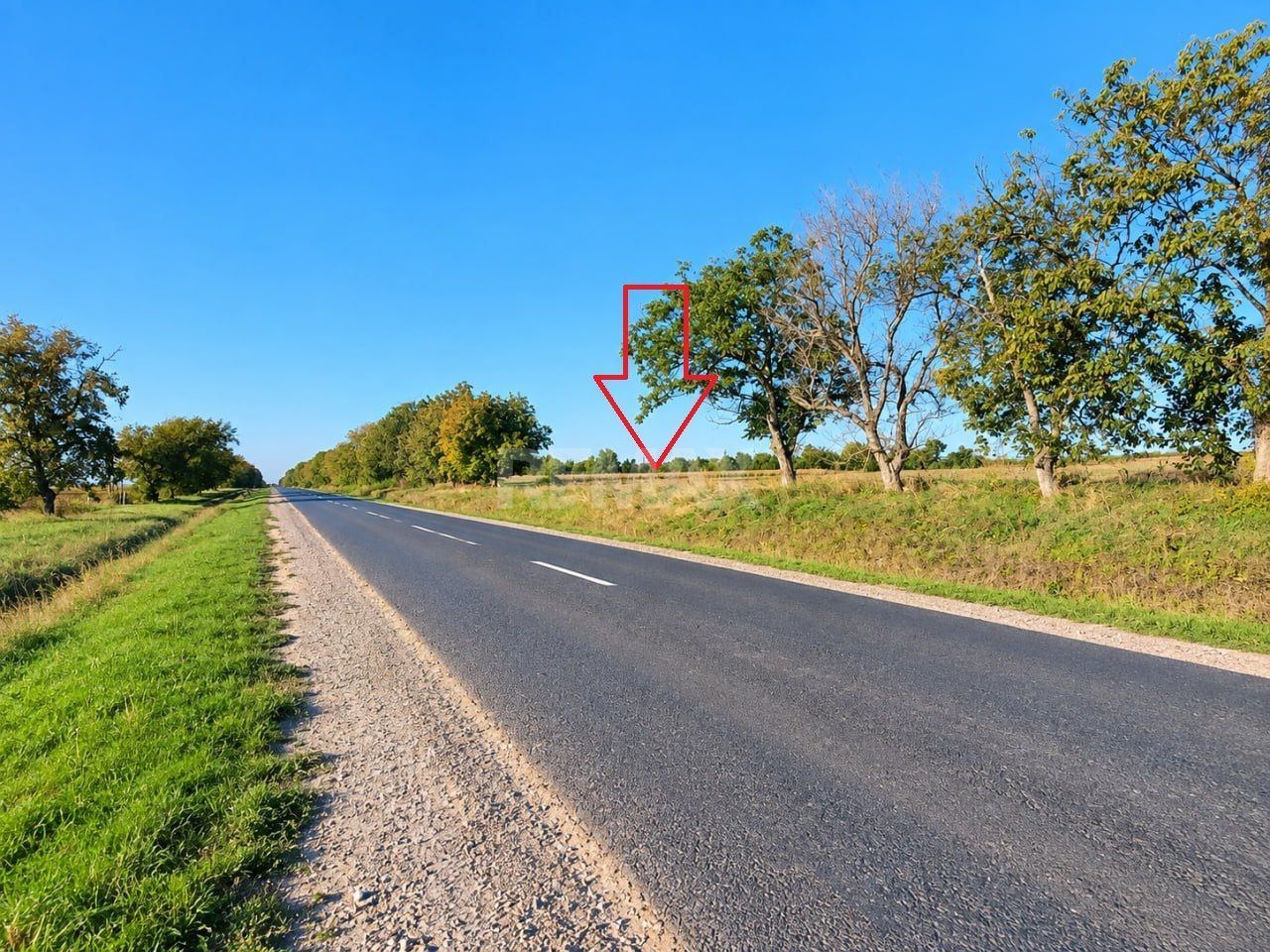 4,85 HA CU DESCHIDERE DE 300 M LA TRASEU | CRIULENI – SLOBOZIA-DUȘCA - Poză 2