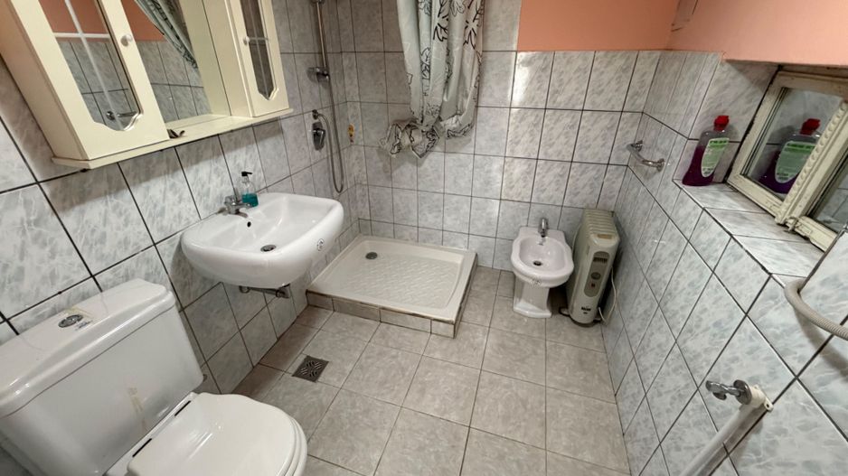 Casa de vanzare 255mp utili, 1974mp teren - Balomir - Poză 7
