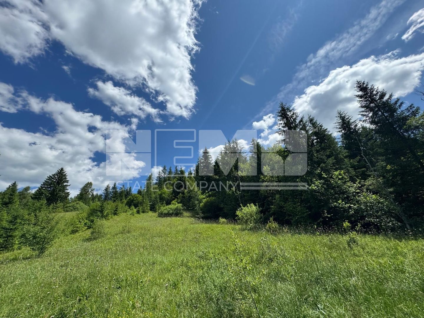 TEREN EXTRAVILAN DE VANZARE | CAMPULUNG MOLDOVENESC | 258.720€ - Poză 1