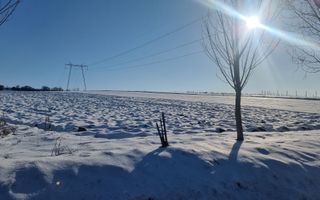 FĂRĂ COMISION | TEREN 6695 MP ÎN ȘURA MARE - Poză 6