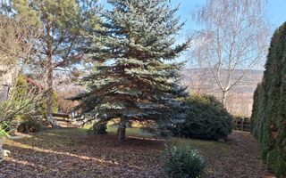 Casa Elegantă în Borhanci - Poză 17