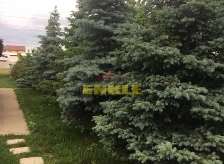 Teren 3200 mp, Hudum, cu toate utilitatile, 145000 euro neg - Poză 4