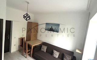 Investitie la cheie 13 mp, Gruia - Poză 3