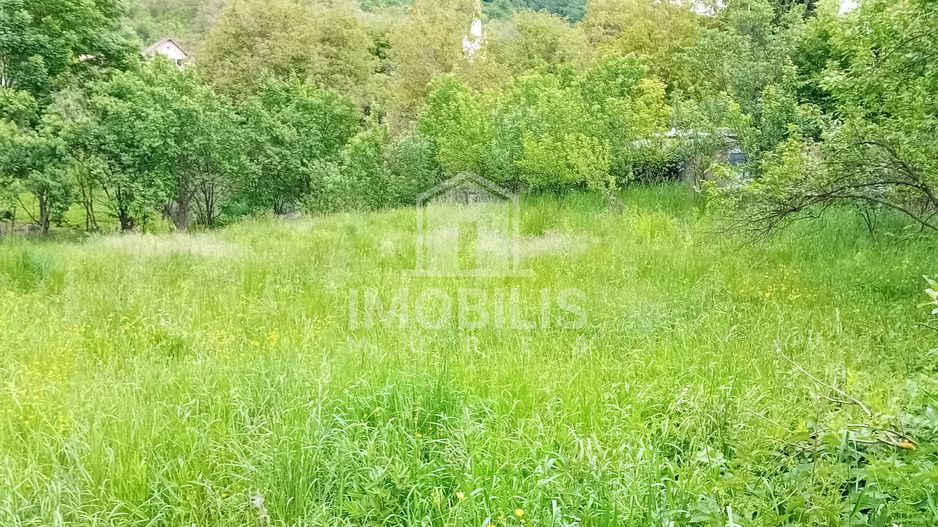 Teren intravilan | Budiu Mic | 994 mp - Poză 6