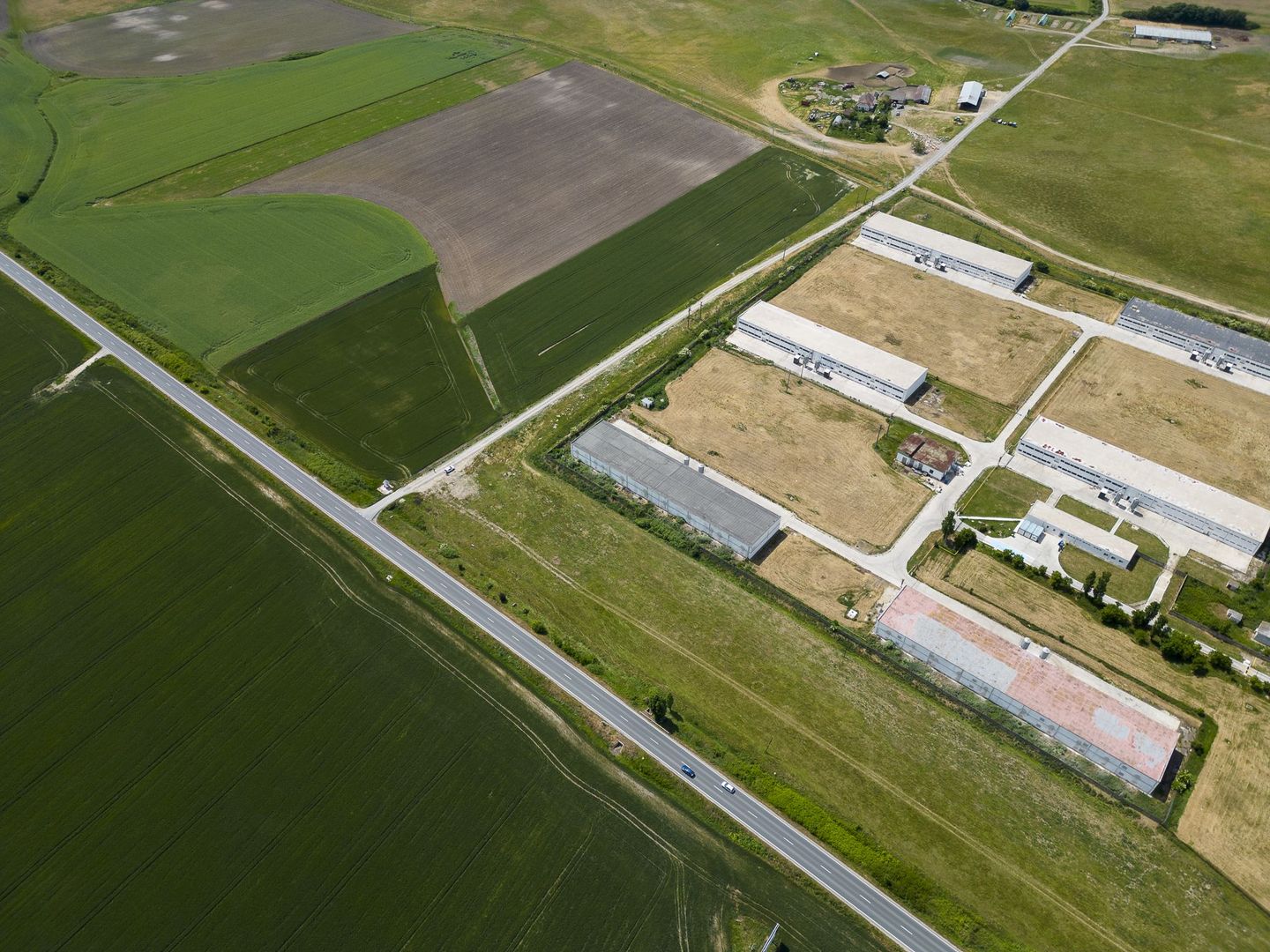 Teren Intravilan Investiții 11.600 mp Salonta - Poză 8