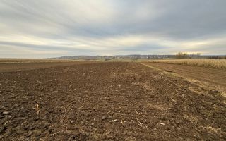 Teren 10.000 mp | Grănicesti | Lângă E85 | Front 25 m - Poză 1