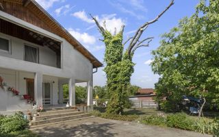 Casa P+M in Ciolpani - Snagov, oaza de liniste si verdeata - Poză 2