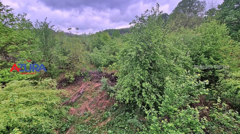 AZURA Imobiliare - Casa cu Teren Budeasa Galasesti - Poză 36