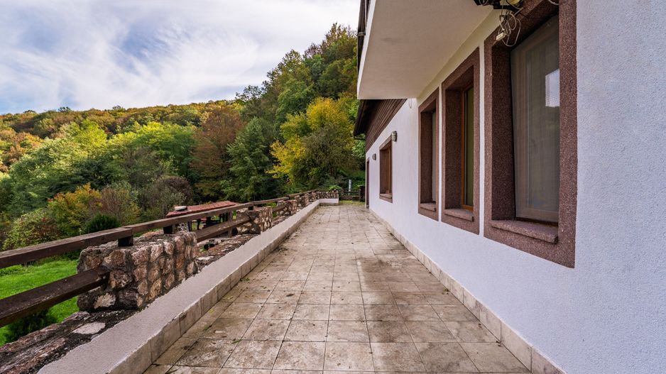 Domeniu în satul Căprioara - Poză 22