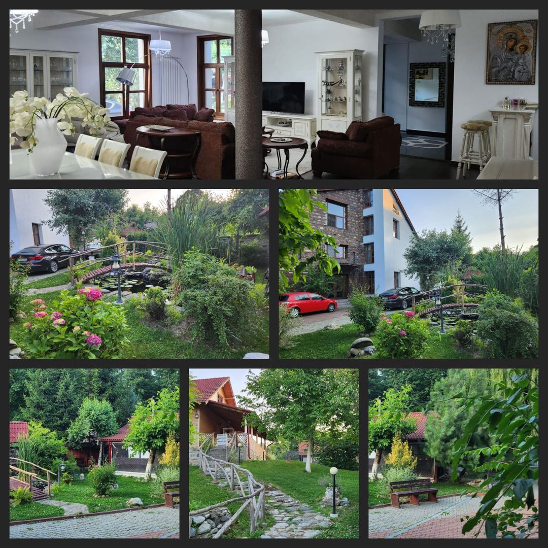 Vila Horezu Romanii de Jos - Poză 2