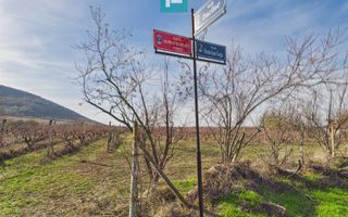 Casuță cu priveliște panoramică spre Cetatea Șiria - Poză 30