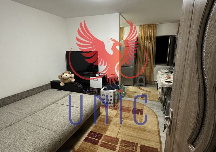 Garsoniera parter - zona Lapus - Poză 2