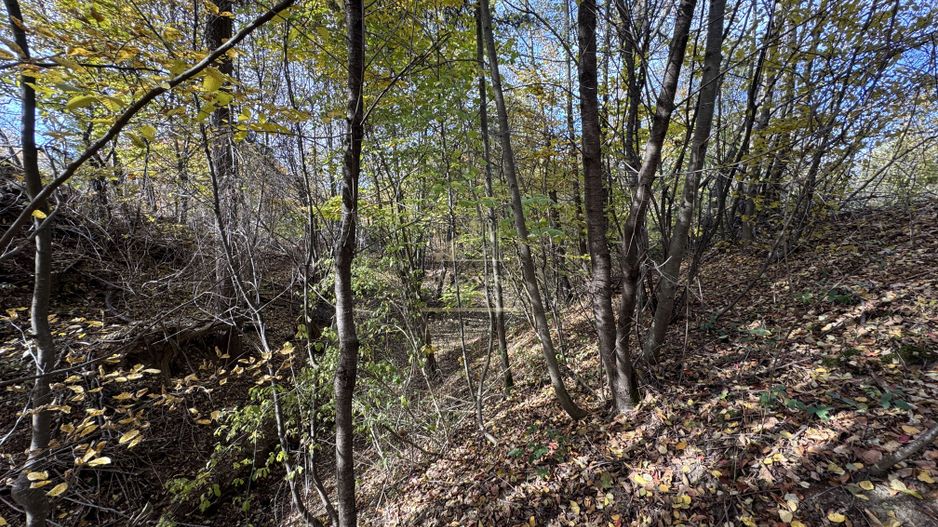 TEREN INTRAVILAN 13167 MP BUGHEA DE SUS ARGES - Poză 20