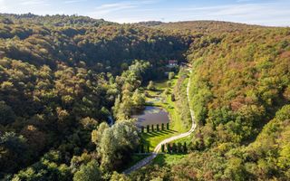 Domeniu în satul Căprioara - Poză 16