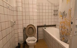 Sala Palatului- Cismigiu- Brezoianu - Poză 7