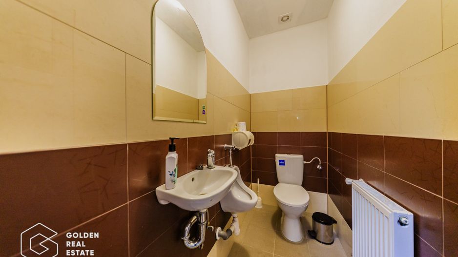 Proprietate pretabila pentru afacere, Cladova - Poză 12